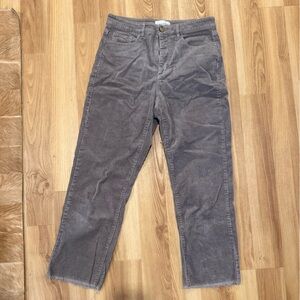 LOFT Stone Corduroy Pants